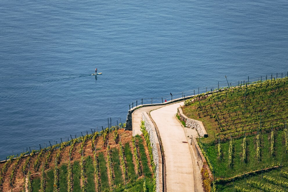 Mit dem SUP die Schönheit der Weinberge genießen? Das geht wohl nur am Genfersee 