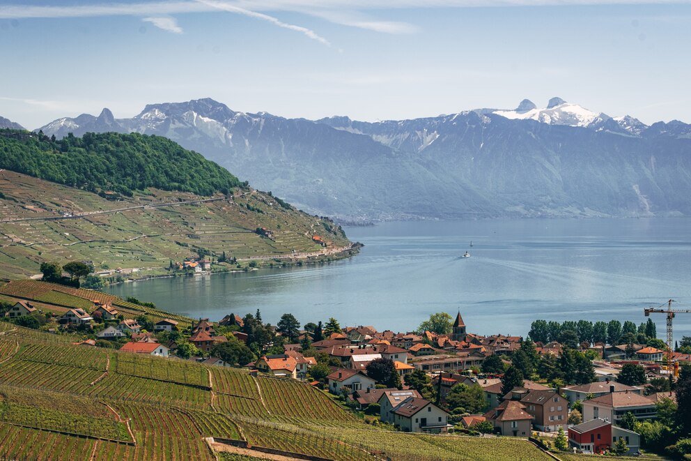 Malerische Kulisse: Die berühmten Weinberge der Region lassen sich zu Fuß, mit dem Rad oder sogar dem TukTuk erkunden