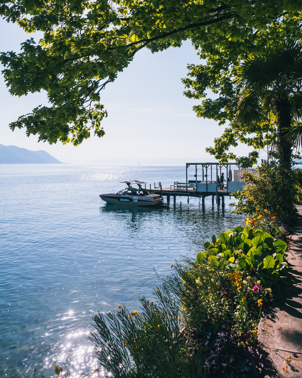 Sonne, Palmen und klares Wasser: In Montreux am Genfersee kommt direkt Urlaubsstimmung auf