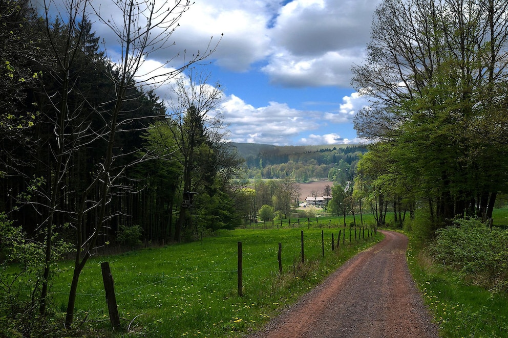 Auch der Rennsteig gehört zu den besten Wanderwegen in Deutschland