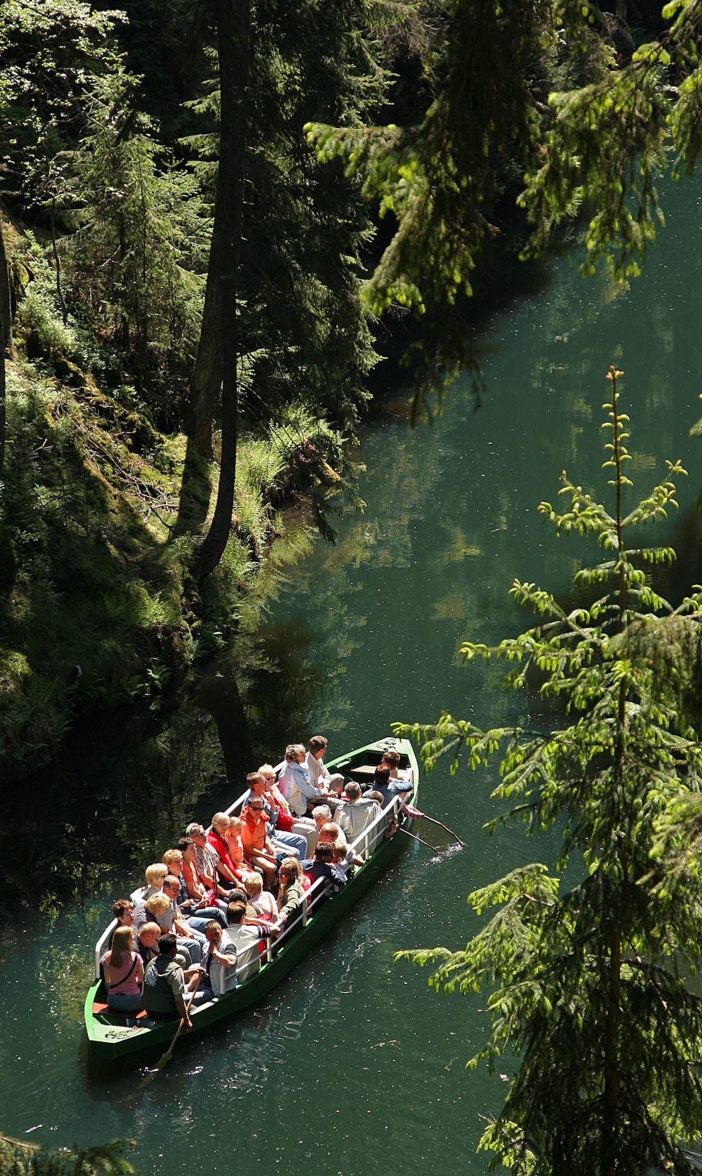 Kirnitzschklamm, Sächsische Schweiz