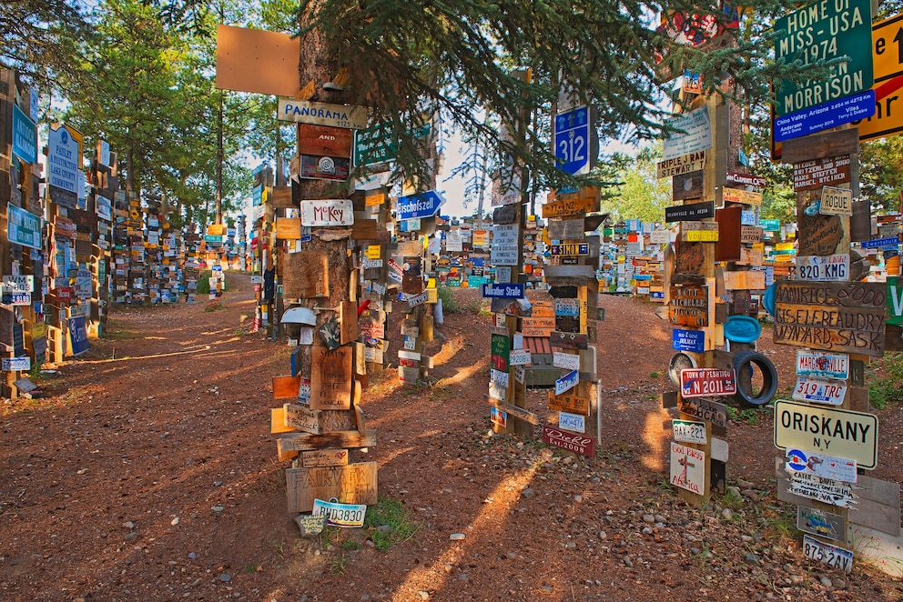 Sign Post Forest