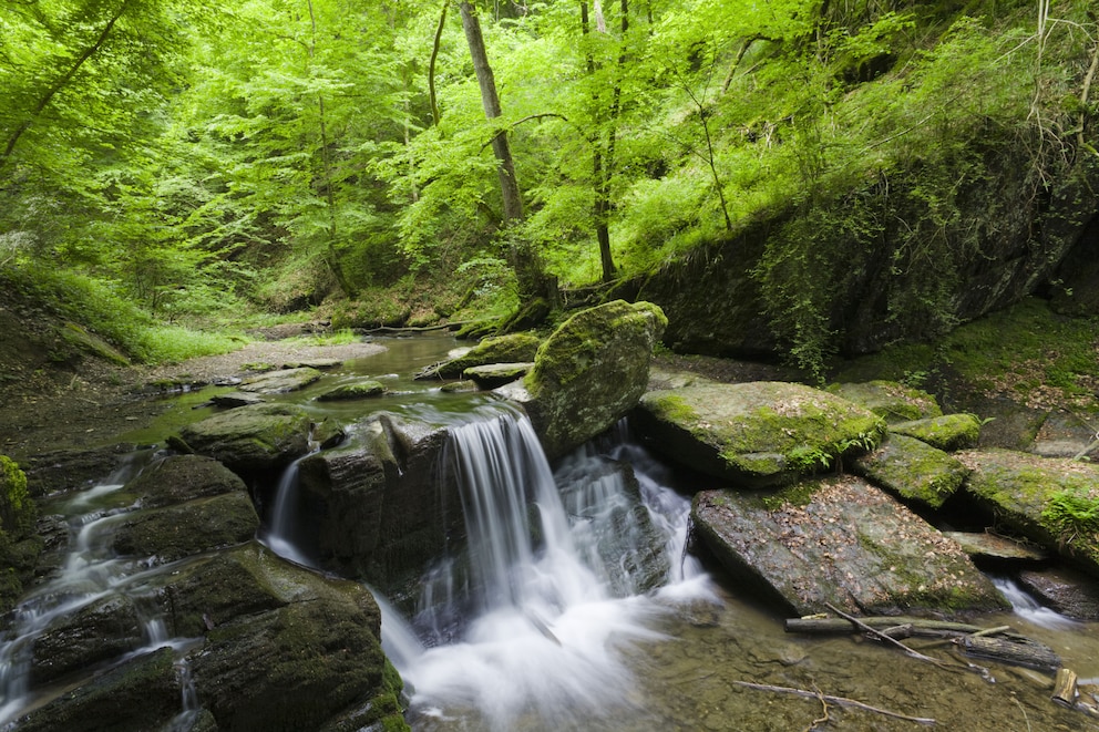 Die Ehrbachklamm in der Nähe von Oppenhausen Rheinland-Pfalz im Hunsrück