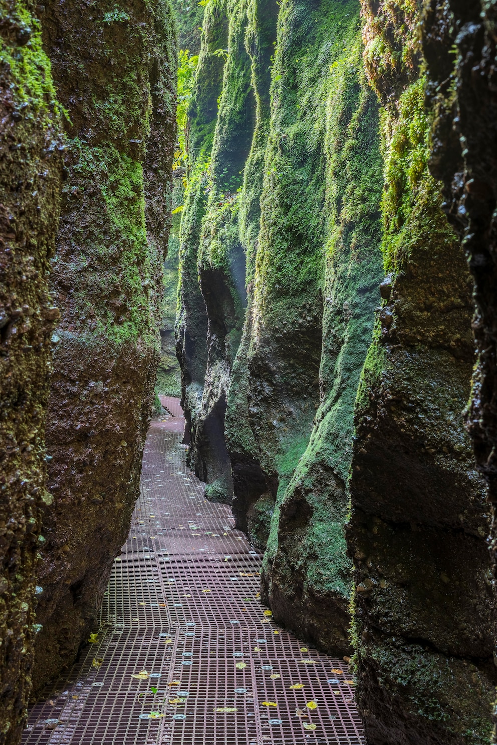 Drachenschlucht, Thüringen