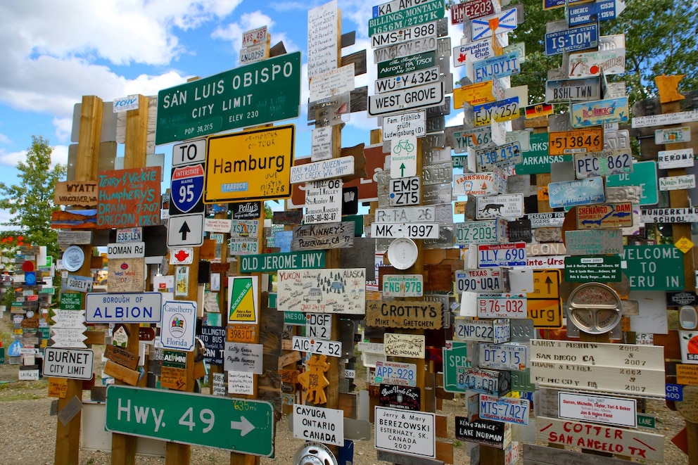 Sign Post Forest