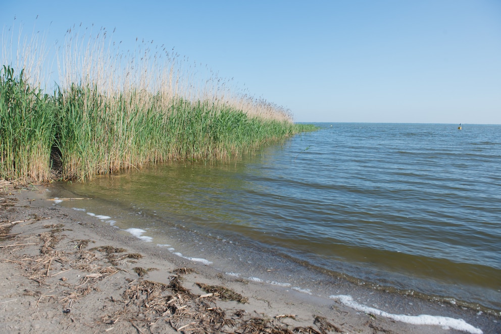 Wasserqualität Deutschland