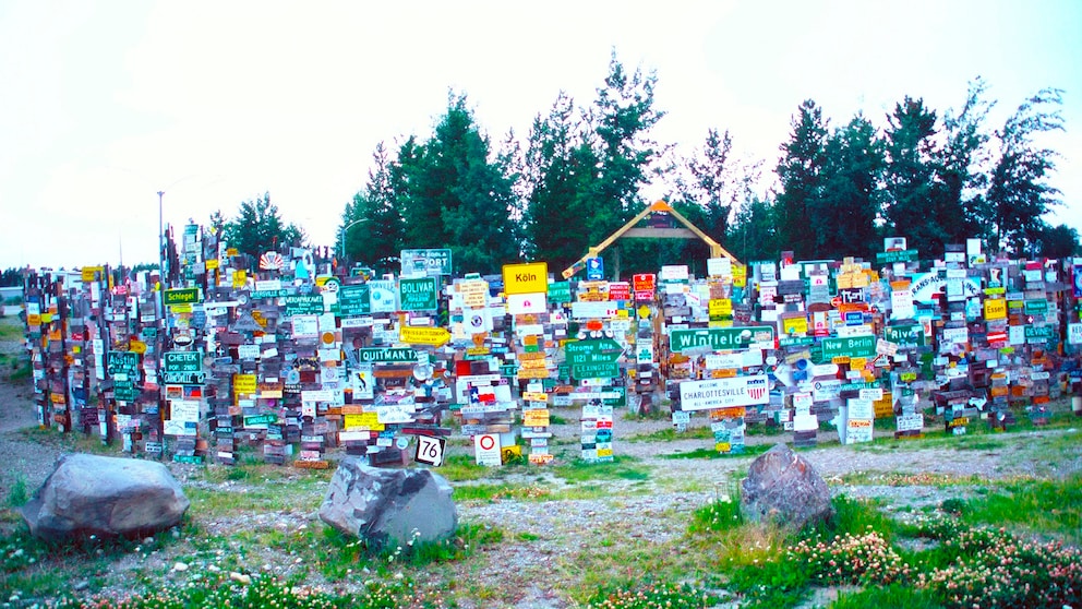 Sign Post Forest