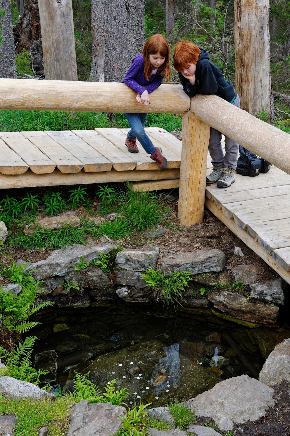 Nationalpark Bayerischer Wald