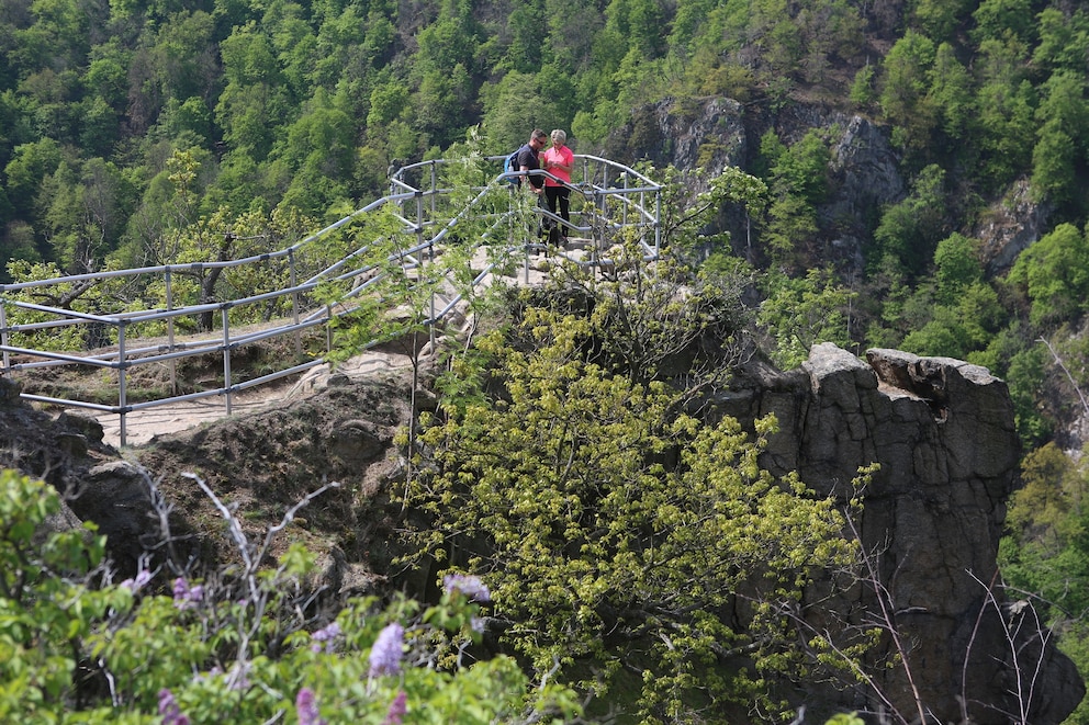 Harz