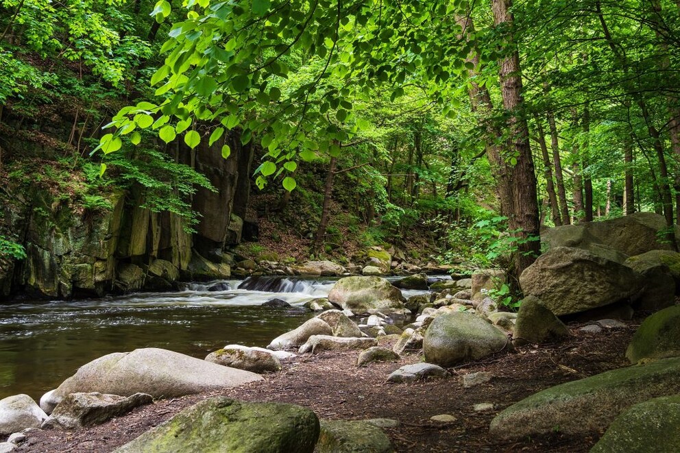 Harz