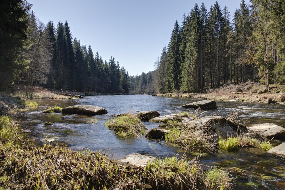 Nationalpark Bayerischer Wald