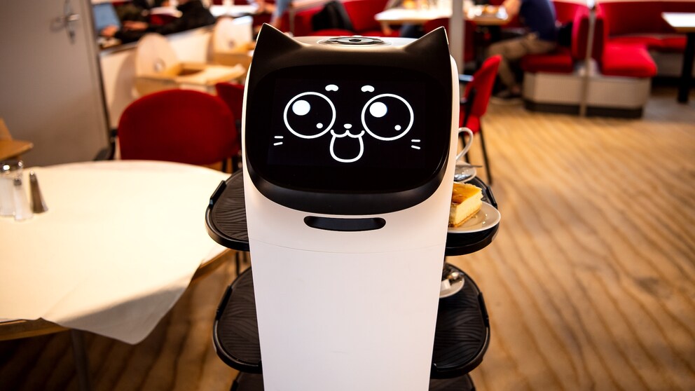 BellaBot