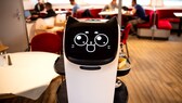 BellaBot
