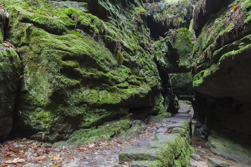 Saxon Switzerland