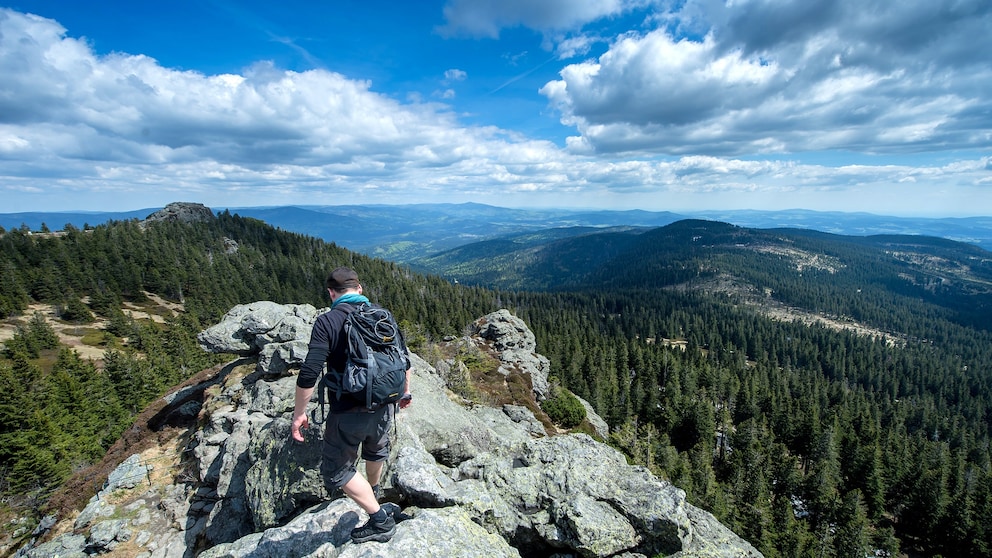 Nationalpark Bayerischer Wald