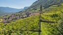 Südtirol