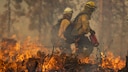 Schlimmer Waldbrand bei Yosemite-Nationalpark