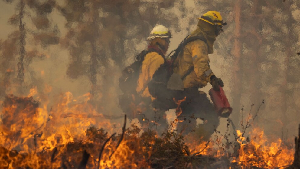 Schlimmer Waldbrand bei Yosemite-Nationalpark