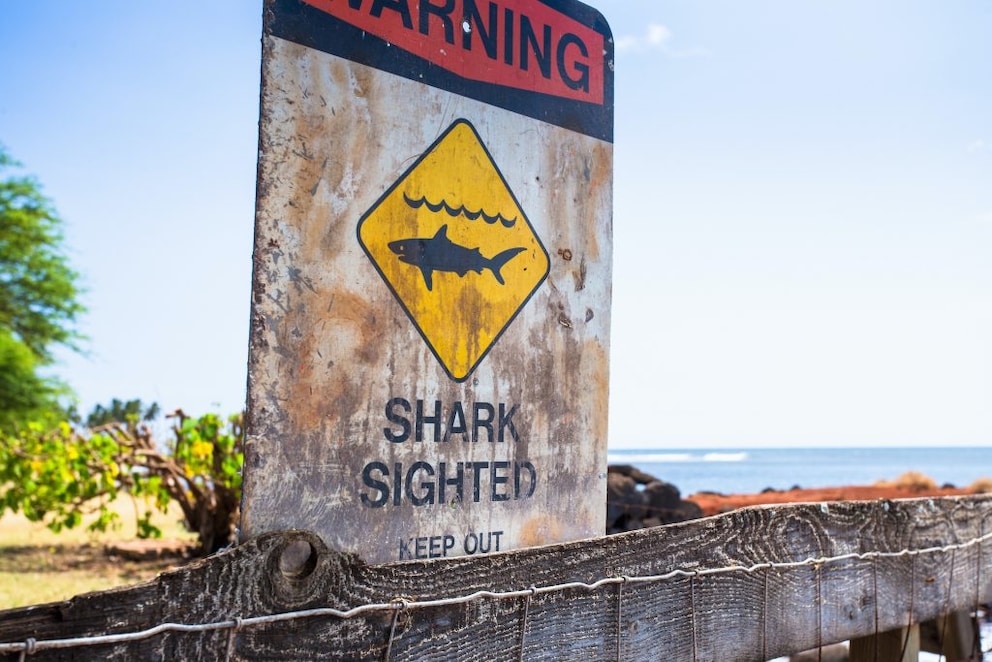 Shark attack sign