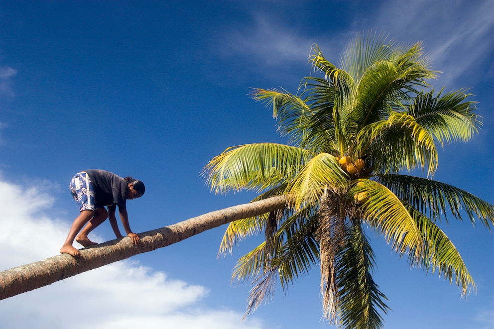 Palmerston , Cook Islands