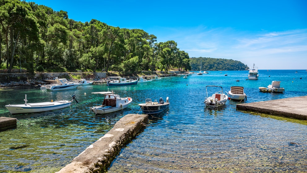 Insel Cres in Kroatien