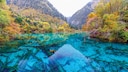 Jiuzhaigou-Tal China Wald