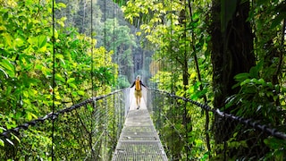 Dschungel in Costa Rica