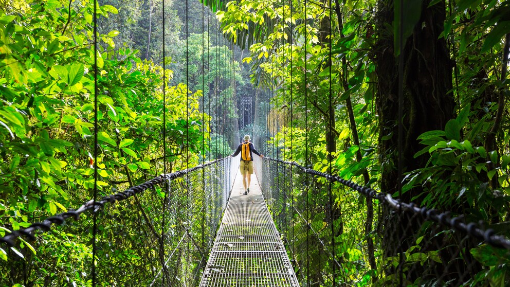 Dschungel in Costa Rica