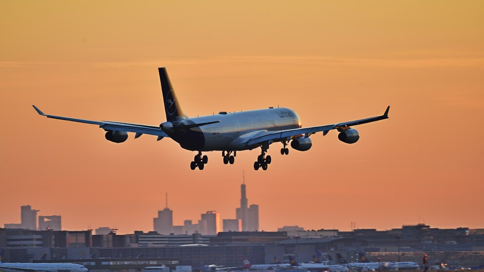 Lufthansa führ fast 600 Leerflüge durch, Flugzeug landet in Frankfurt