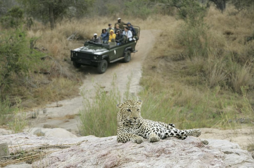 Safari Kruger National Park
