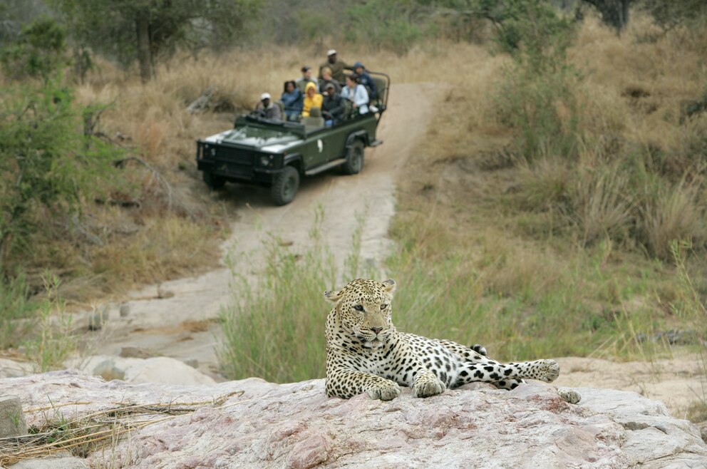 Safari Kruger-Nationalpark