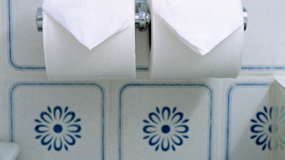 Gefaltetes Toilettenpapier Hotel