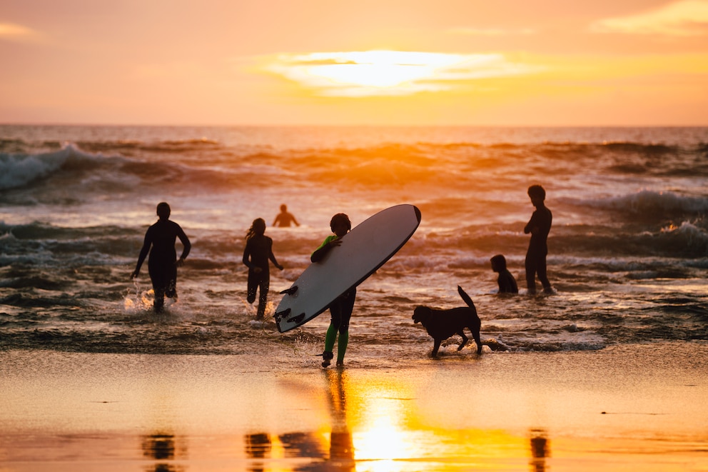 Surfen Portugal