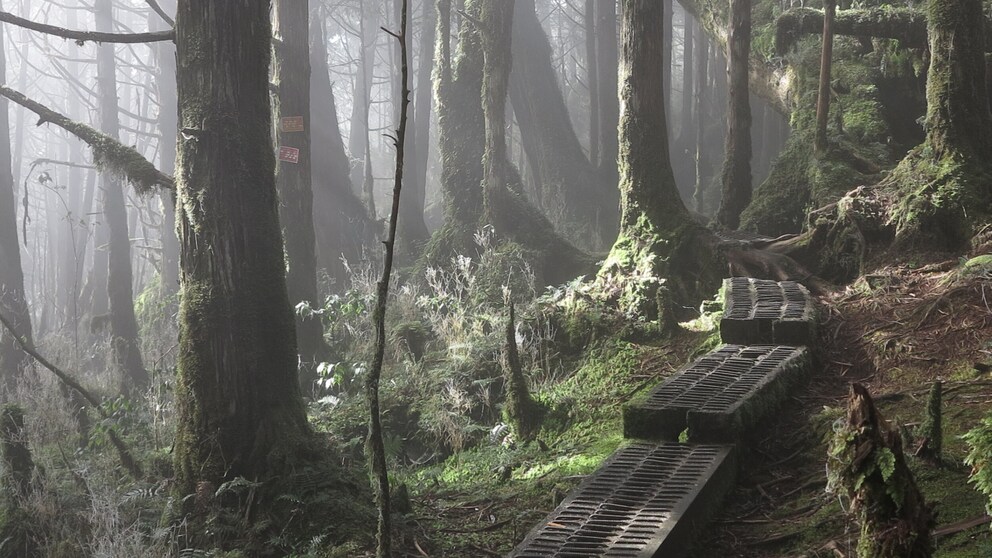 stiller Wanderweg