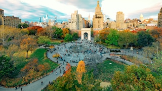 Im Washington Square Park in New York steht der älteste Baum Manhattans, doch was sich unter der Erde befindet, ist noch viel interessanter.