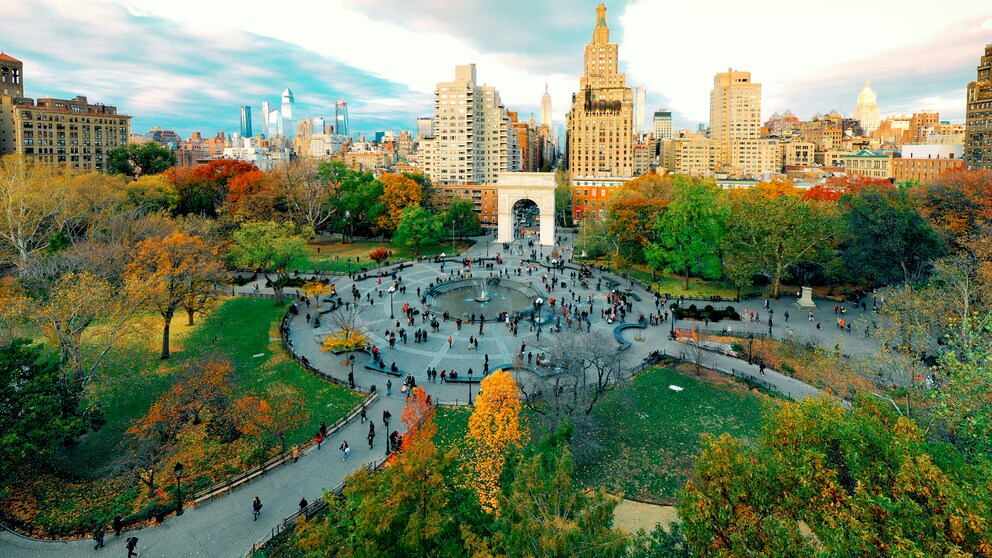 Im Washington Square Park in New York steht der älteste Baum Manhattans, doch was sich unter der Erde befindet, ist noch viel interessanter.