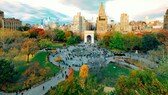 Im Washington Square Park in New York steht der älteste Baum Manhattans, doch was sich unter der Erde befindet, ist noch viel interessanter.