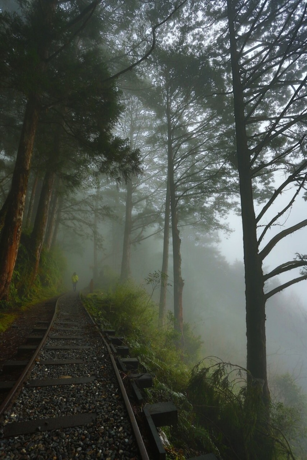 Wanderweg auf Gleisen