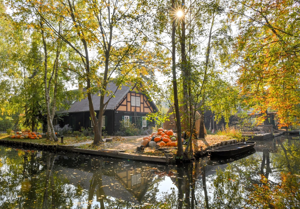 Herbst im Spreewald