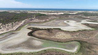 Doñana-Nationalpark