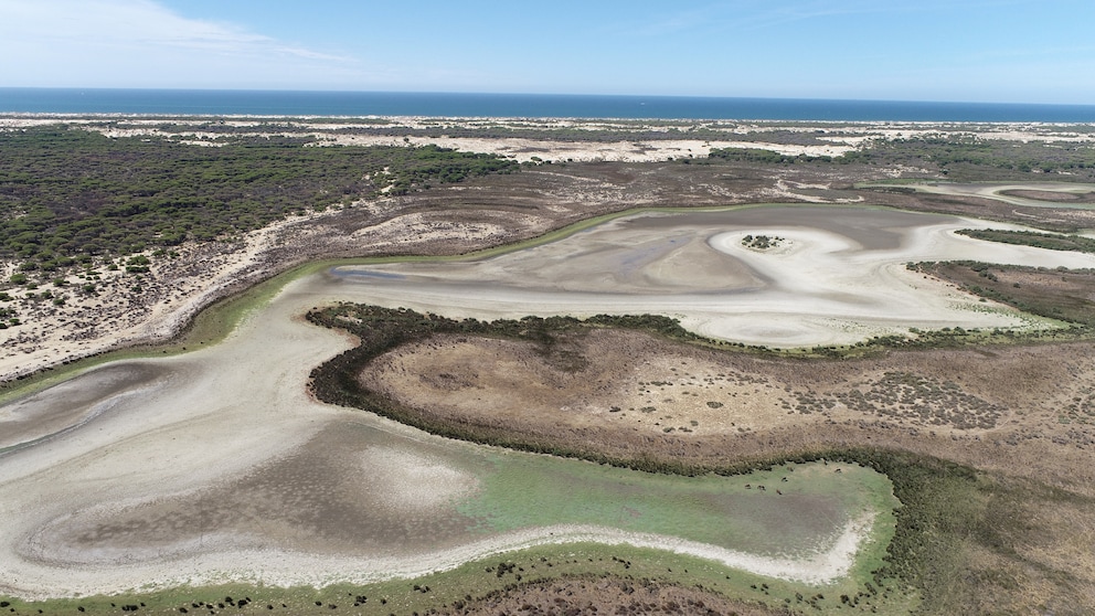 Doñana-Nationalpark