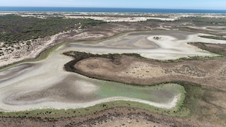 Doñana-Nationalpark