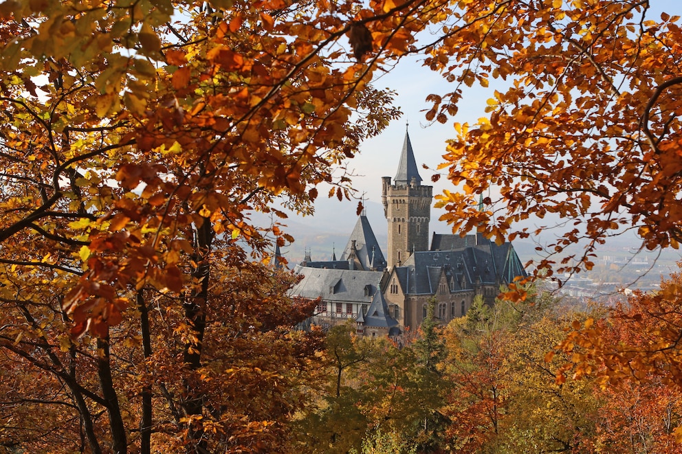 Schloss Wernigerode Herbst
