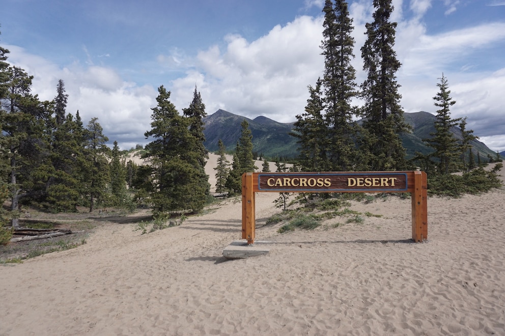 Carcross Desert