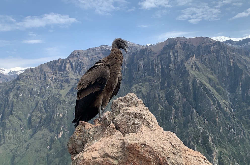 Colca Canyon