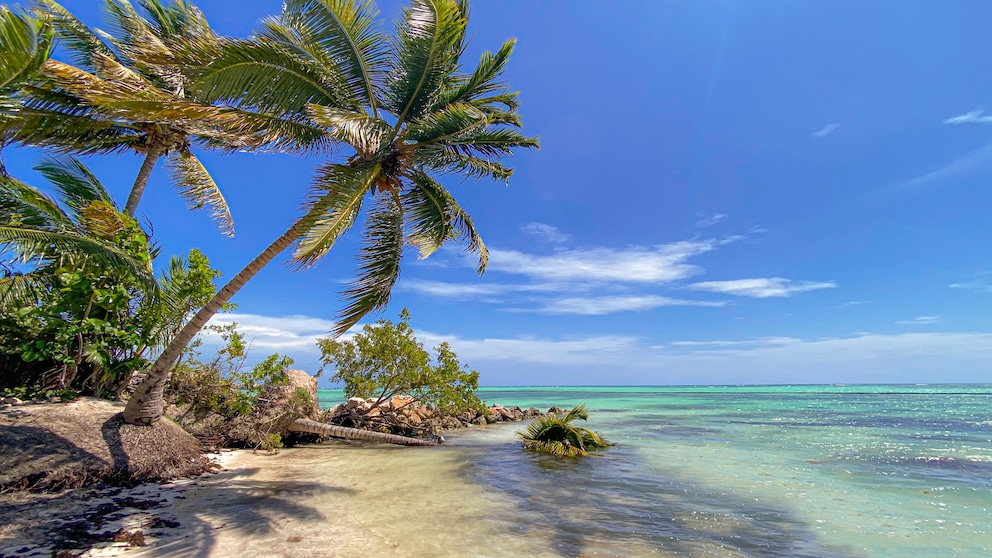 Strand in Punta Cana, Dominikanische Republik