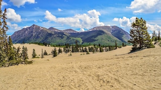 Carcross Desert