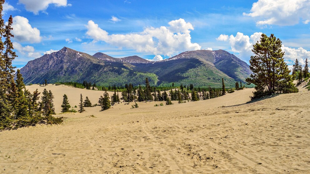 Carcross Desert