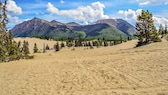 Carcross Desert