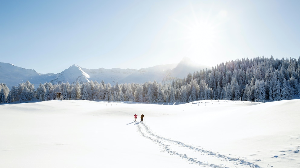 Winter-Urlaub Energiekrise